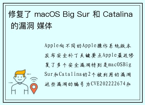 修复了 macOS Big Sur 和 Catalina 的漏洞 媒体